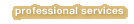 Professional Services