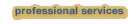 Professional Services